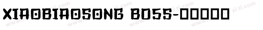 XIAOBIAOSONG B05S字体转换